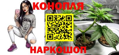 гашик Абакан