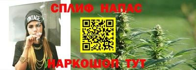 гашик Абакан