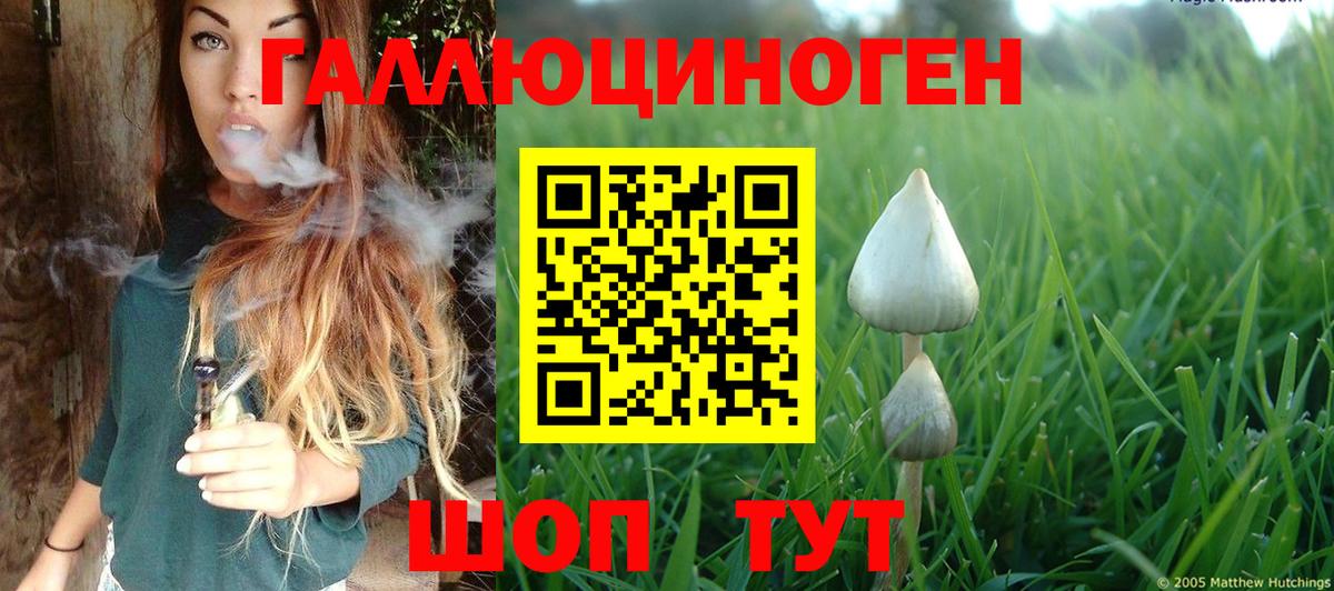 Псилоцибиновые грибы GOLDEN TEACHER Аша