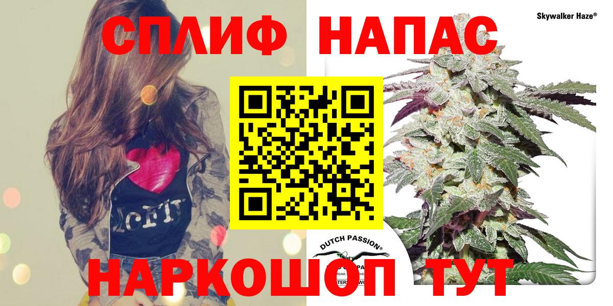 Каннабис AK-47 Аша